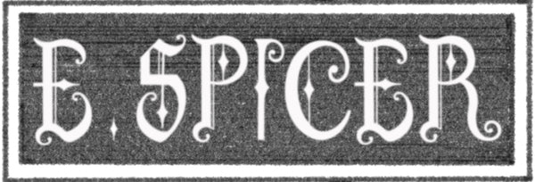 Evie Spicer Jewellery 